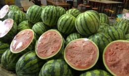 免费吃的瓜最新